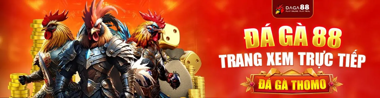 Tỷ lệ cược đá gà cạnh tranh và hấp dẫn